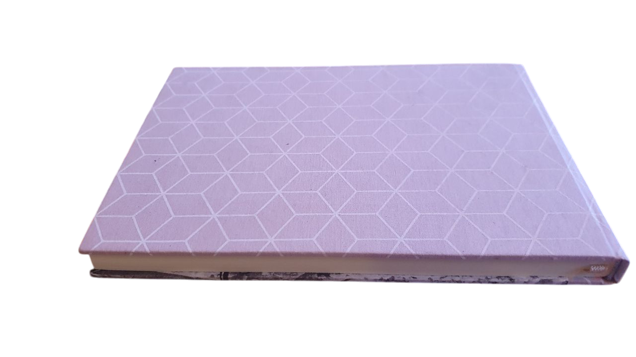 Blank Berlin Books -muistikirja Oder jäässä - Image 3